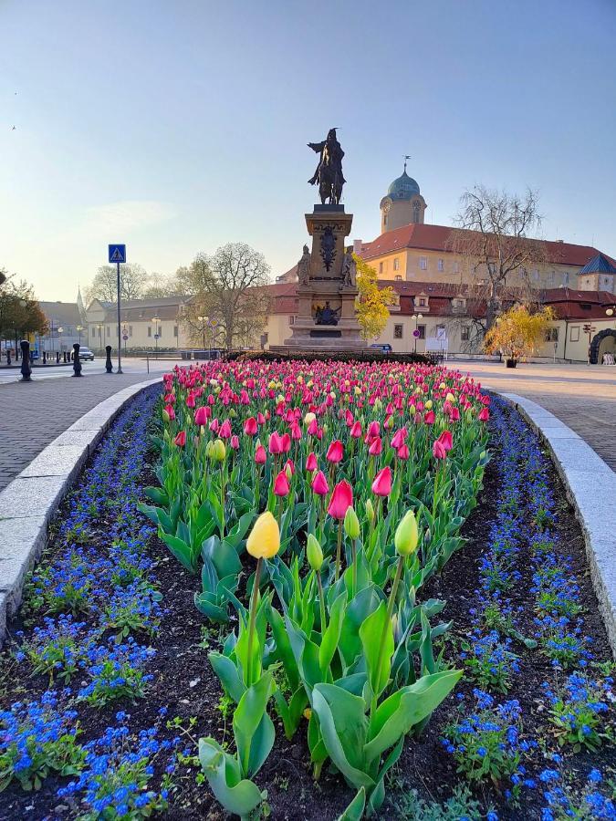 Homestay Poděbrady Esterno foto