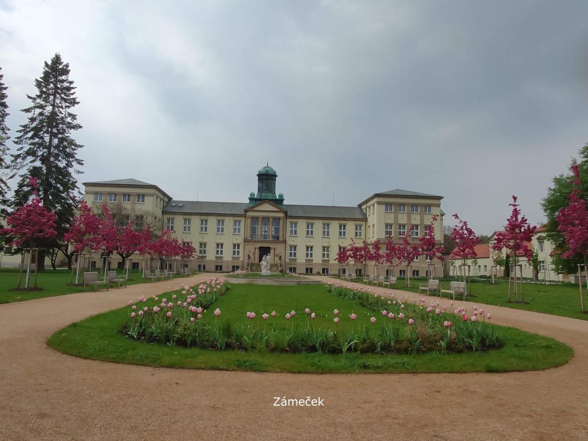 Homestay Poděbrady Esterno foto